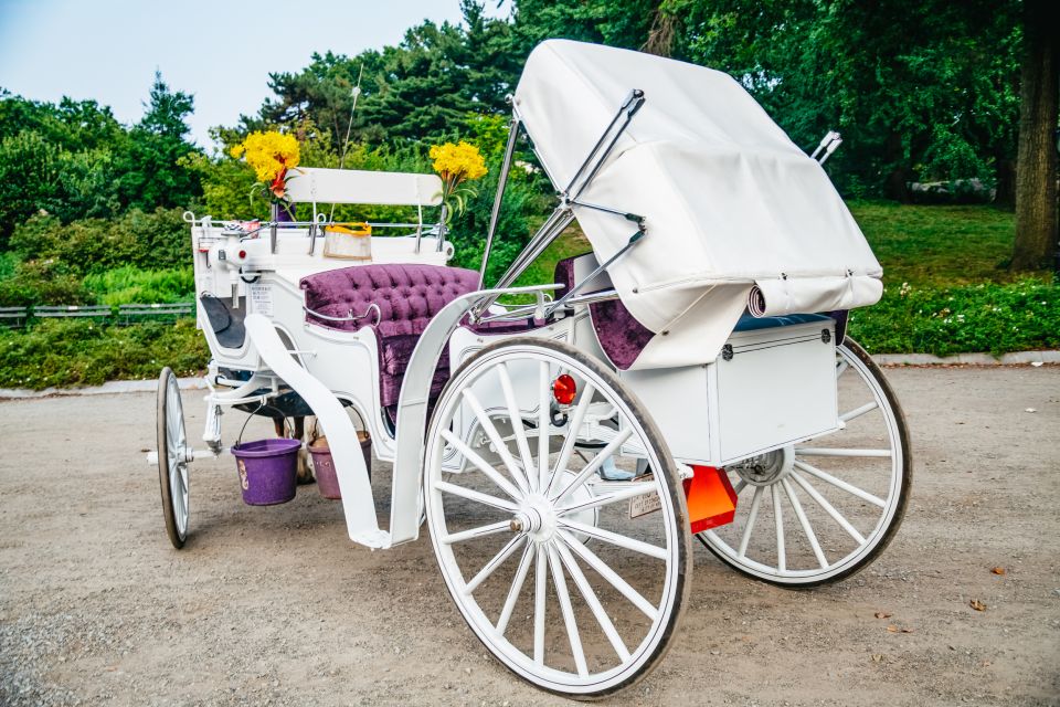 NYC: Guided Central Park Horse Carriage Ride - Additional Information