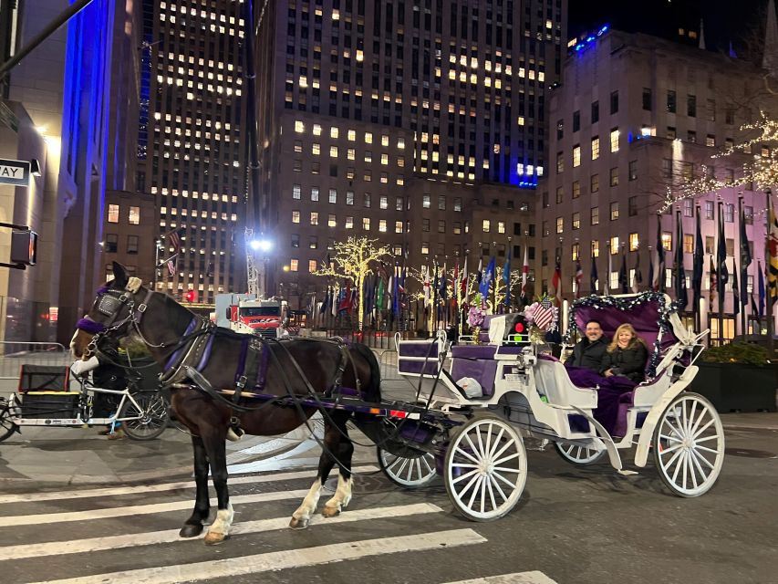 NYC: Private Central Park Horse Carriage Ride With Guide - Summary and Overview