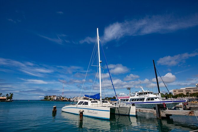 Oahu Turtle Canyon Snorkel Catamaran Cruise With Green Turtles - Wildlife Encounters