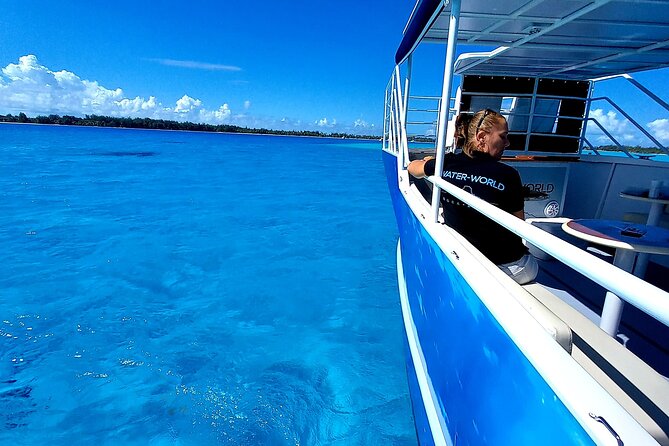 Observation of Marine Flora and Fauna in Bora Bora - Traveler Reviews and Feedback