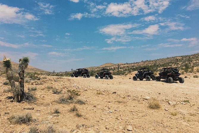 Off Road Mojave Desert Tour in Las Vegas - Common questions