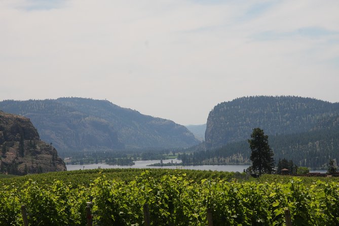 Okanagan Falls Private Wine Tour - Full Day - Customer Reviews