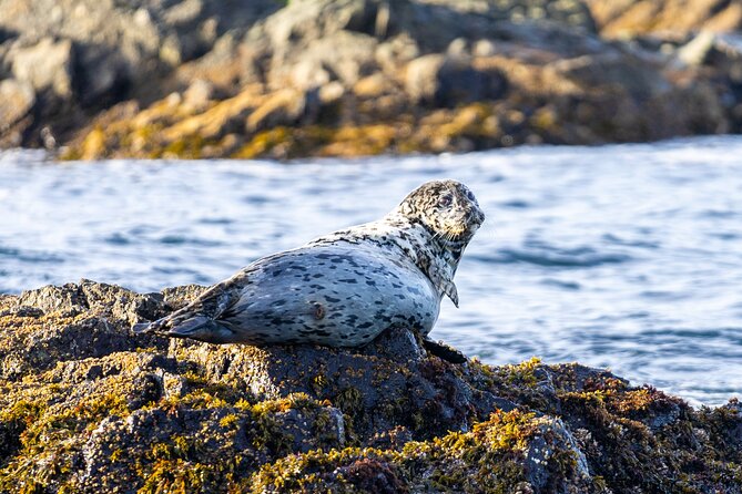 Pacific Rim Tour (Ucluelet & Tofino) - Support and Contact Information