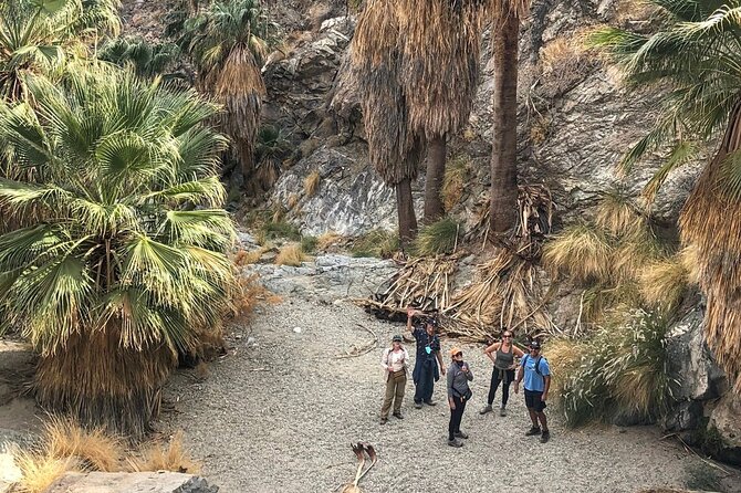 Palm Springs Hike to an Oasis and Amazing Desert Views - Cancellation Policy and Customer Feedback