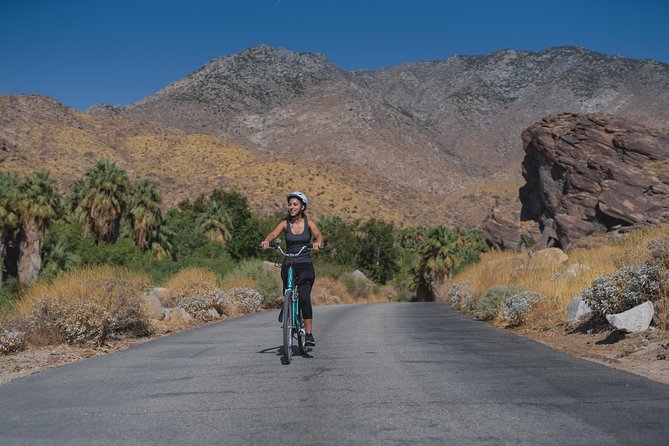 Palm Springs Indian Canyons Bike and Hike - Viator Information