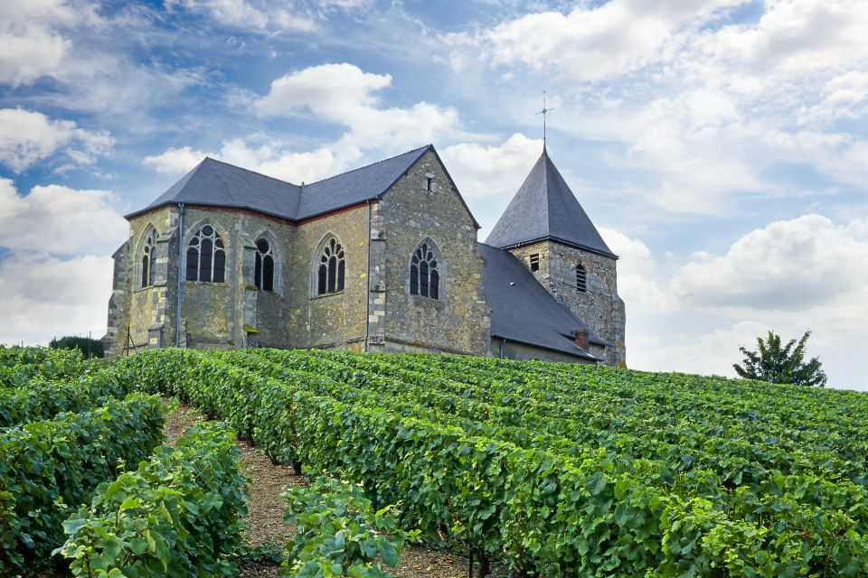 Paris: Two Reims Champagne Vineyards With Tastings and Lunch - Important Information