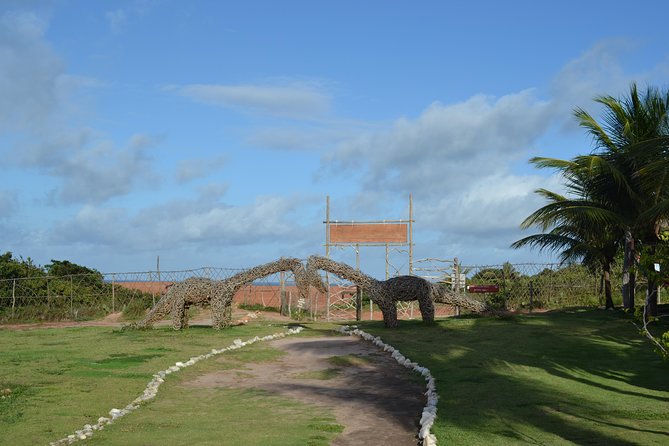 Pipa Beach Tour - Leaving Natal - Legal Information