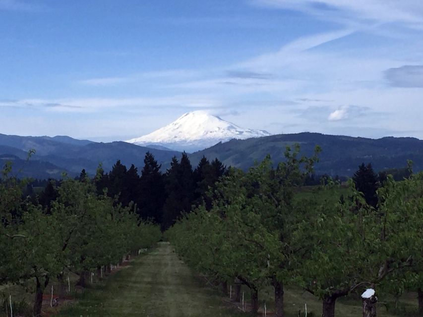 Portland: Mount Hood Wine and Waterfalls Full-Day Tour - Review Summary