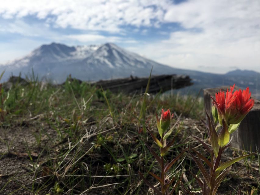 Portland: The Mt. St. Helens Adventure Tour - Detailed Itinerary