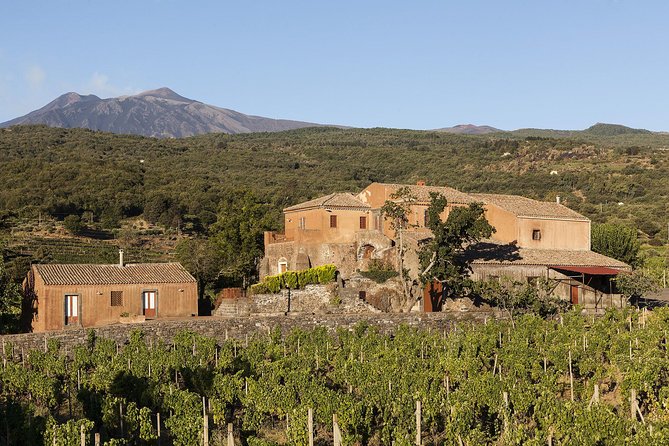 Private 6-Hour Tour of Three Etna Wineries With Food and Wine Tasting - Memorable Experiences and Guide Appreciation