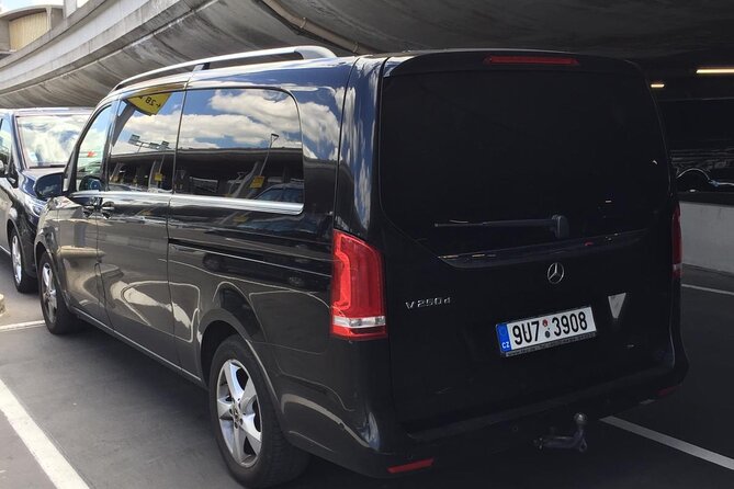 Private Arrival Transfer From Charles De Gaulle Airport CDG to Paris City - Wheelchair and Stroller Accessibility