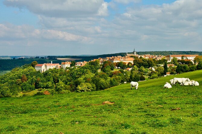 Private Burgundy 3 Domaines Chateau Pommard Chablis 15 Wines Trip - Culinary Delights