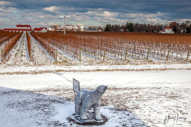 Private Niagara Ice Wine Tour - Common questions