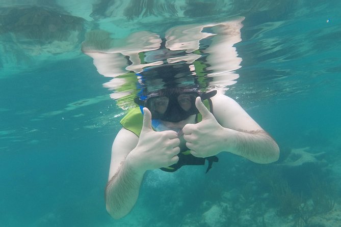 Private Snorkeling Tour With Sea Turtles at Akumal Beach  - Playa Del Carmen - Best Visiting Practices