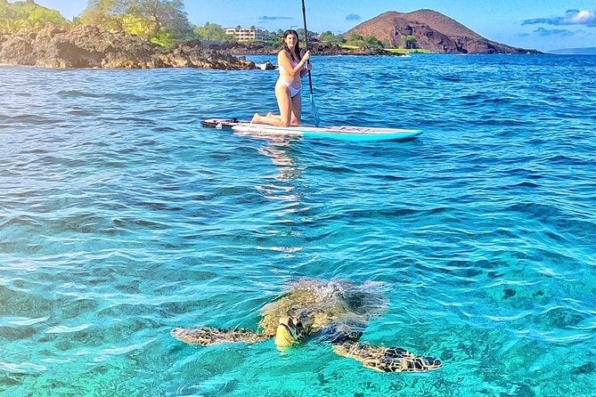 Private Stand Up Paddle Boarding Tour in Turtle Town, Maui - Background