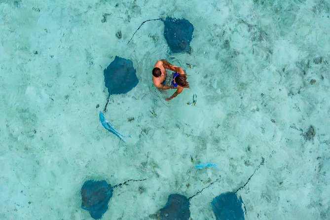 Private Tour: Bora Bora Lagoon Eco Snorkel Cruise - 3hrs or 6hrs - Customer Reviews and Ratings