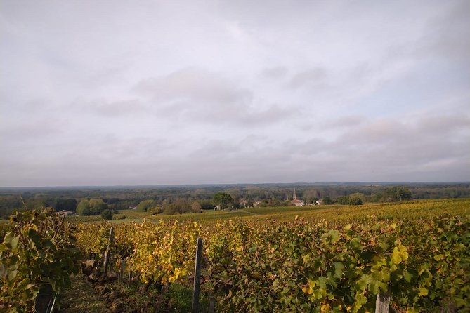 Private Tour in the Sauternes Wine Region - Discover Bordeaux Sweet Crus Classés - Cancellation Policy Details