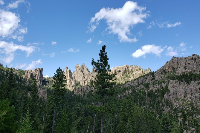 Private Tour of Mount Rushmore, Crazy Horse and Custer State Park - Booking Details