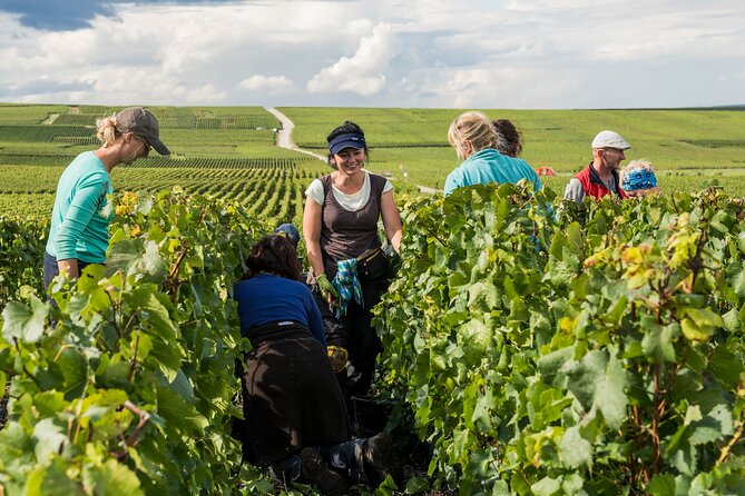 Private Tour of the Champagne Area, Meet Local Producers and Taste Their Champagne, Start From Your - Tour Itinerary