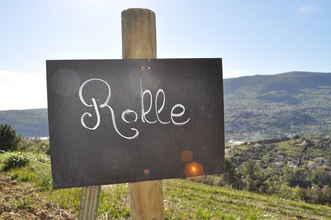 Private Wine Tour of the Vineyards on the French Riviera - Customer Reviews and Ratings