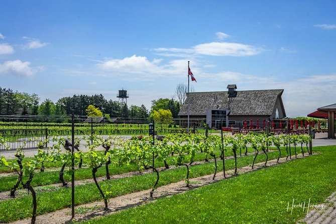 Private Winery Tour of Niagara-on-the-Lake - Reviews and Testimonials