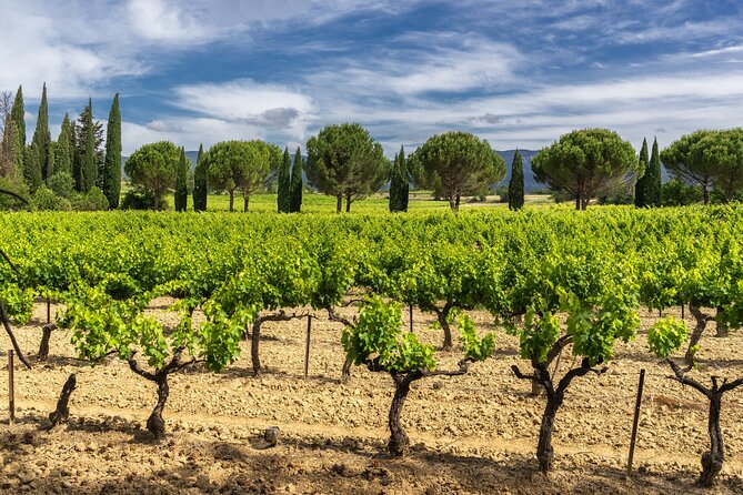 Provence Day Trip With Cassis Village Boat Ride and Local Wine Tasting From Aix - Viator Booking Details