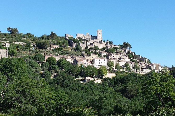 Provence Highlights Full-Day Tour From Avignon - Traveler Feedback