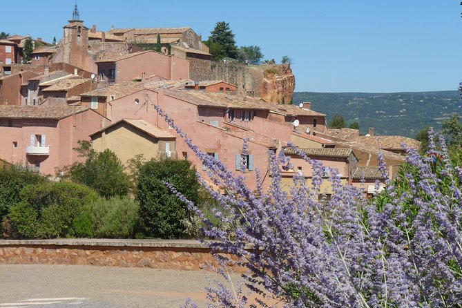 Provence Lavender Full Day Tour From Avignon - Tips for an Enjoyable Tour