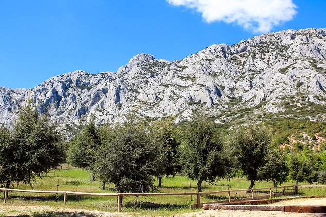 Provence - Mont Sainte Victoire in Search of Cézanne Private Wine Tour - Contact and Support