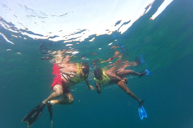 Public Guided Snorkel Tour of Fort Lauderdale Reefs - Additional Information