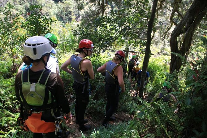 Rappel Maui Waterfalls and Rainforest Cliffs - Safety Measures and Requirements