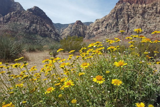 Red Rock Canyon Red E Bike Half-Day Tour - Final Thoughts