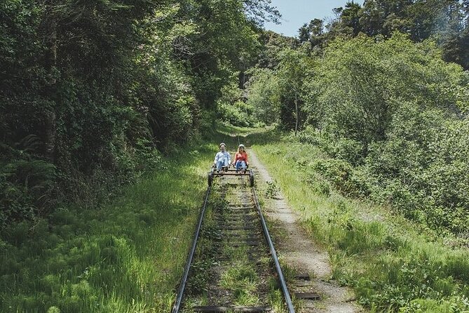 Redwoods Railbike Along Pudding Creek - Inclusions, Policies, and Reviews