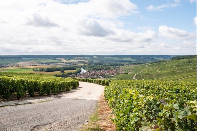 Reims or Epernay Region : Private Minivan Day Tour With Driver Guide at Disposal - Booking Confirmation