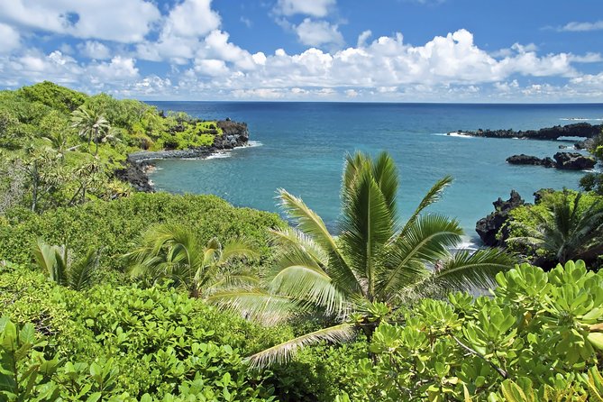 Road to Hana Adventure Tour With Pickup, Small Group - Additional Information and Recommendations