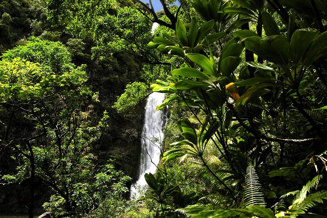 Road to Hana Luxury Limo-Van Tour With Helicopter Flight - Visits to Landmarks and Cultural Sites