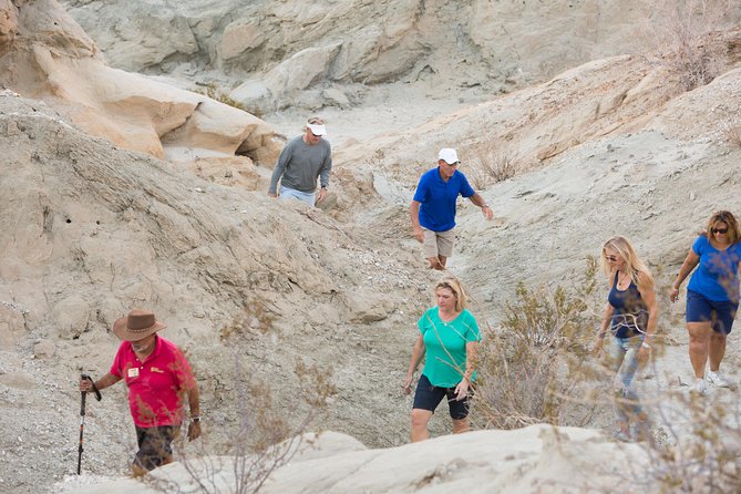 San Andreas Fault Jeep Tour From Palm Desert - Common questions