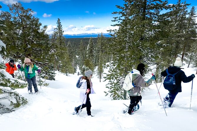 Scenic Snowshoe Adventure in South Lake Tahoe, CA - Highlights and Recommendations