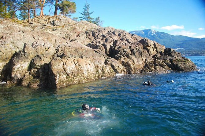 Scuba Dive Boat Charter in Vancouver (Certified Divers Only!) - General Information
