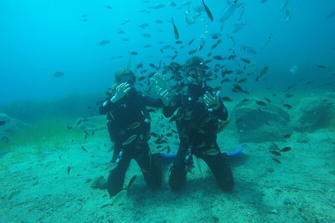 Scuba Diving Experience in Santorini - Booking Information