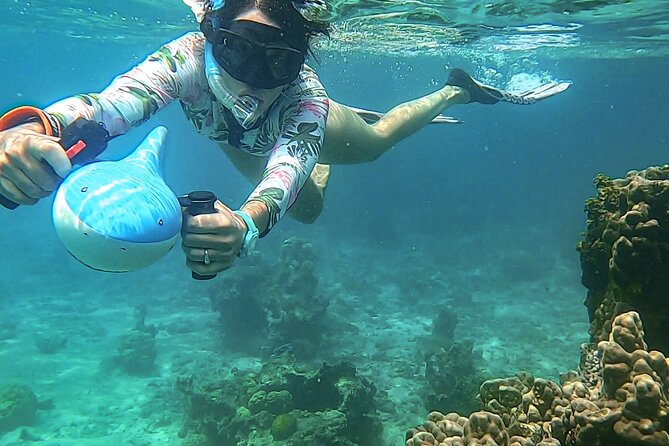 Sea Scooter Snorkel Tour - Guided Ocean Safari Reef and Lagoon Adventure - Tour Experience and Recommendations