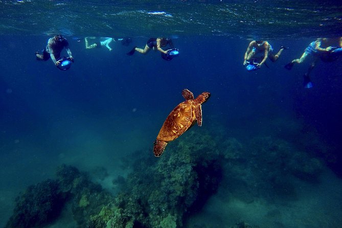 Sea Scooter Snorkeling Tour - Wailea Beach - Recommendations and Booking Information