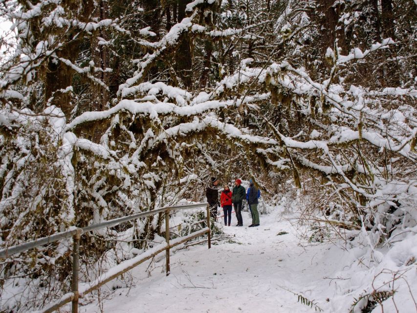 Seattle: Longmire in Mount Rainier Winter Day Tour - Winter Wonderland Exploration Highlights