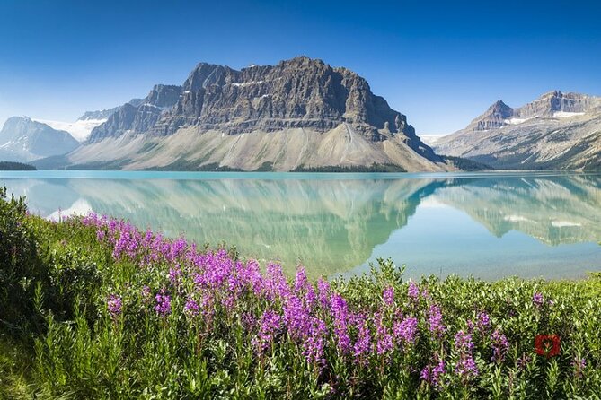 Self-Guided Audio Driving Tour in Icefields Parkway - Customer Reviews