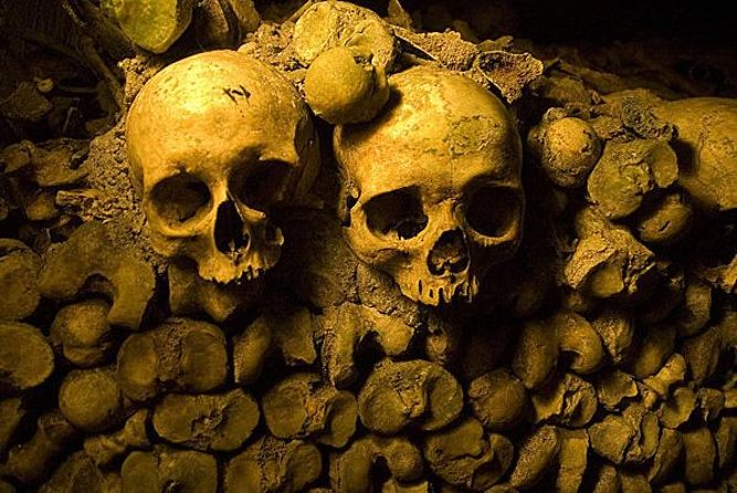 Skip-The-Line: Paris Catacombs Tour With VIP Access to Restricted Areas - Visitor Reviews and Recommendations