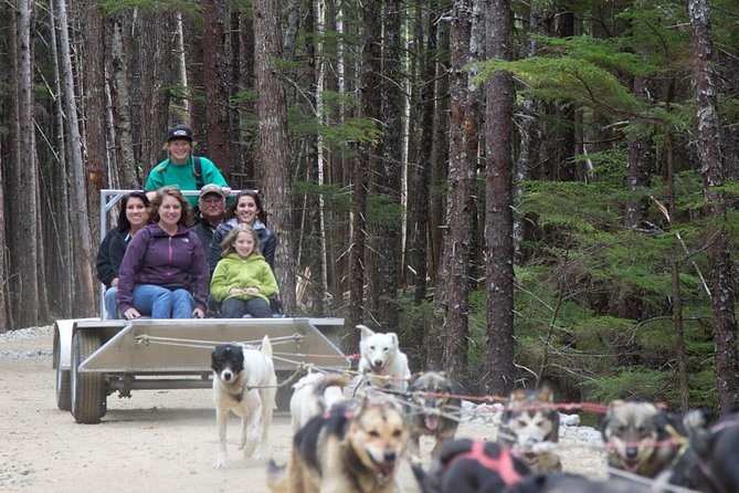 Sled Dog Discovery in Skagway - Host Responses and Additional Information