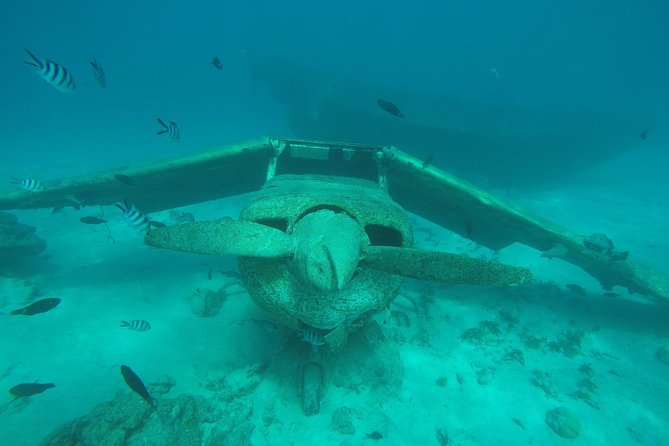 Small-Group 90-Minute Snorkeling Tour of Wrecks, Tahiti - Pricing Information