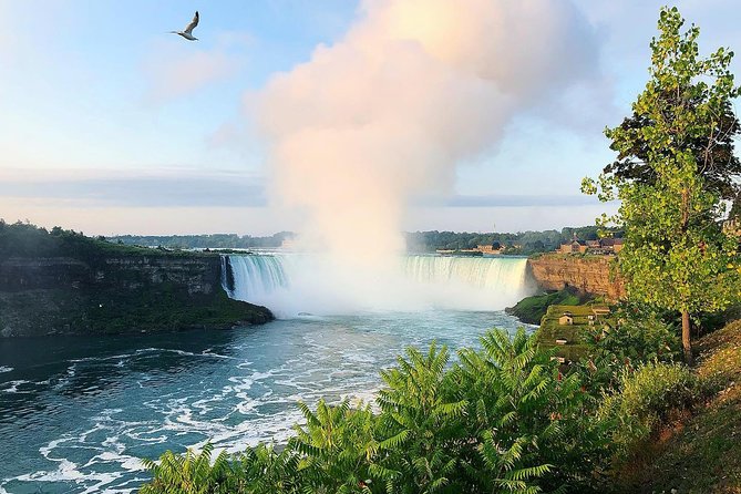 Small-Group Day Tour From Toronto to Niagara Falls and Around - Customer Satisfaction & Tour Guide Experience