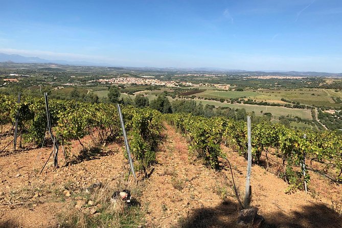 Small-Group Food and Wine Tour From Cagliari - About the Tour Operator