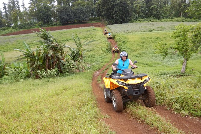 Small-Group Full-Day Jet Ski and Quad Bike Adventure, Moorea - Customer Feedback